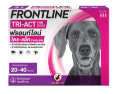Frontline Tri-Act For Dog 20-40 kg