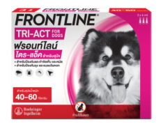 Frontline Tri-Act For Dog 40-60 kg