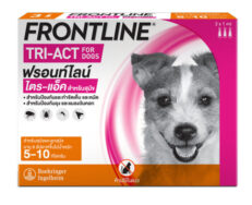 Frontline Tri-Act For Dog 5-10 kg