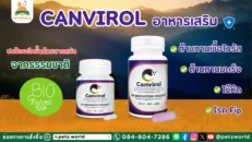 Home backup 55 Canvirol