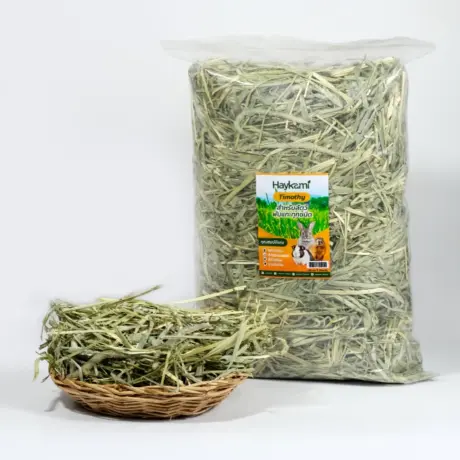 พบคำแนะนำในการเลือกกรงนกที่สมบูรณ์แบบ 7 หญ้าทิมโมธี