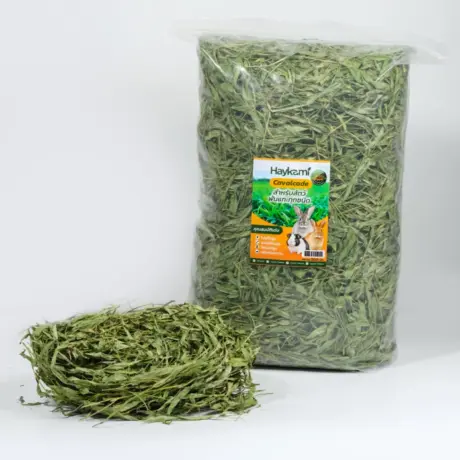 หญ้าถั่วคาวาลเคต