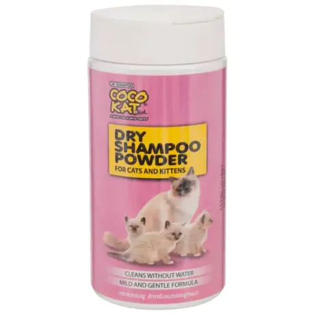 พบคำแนะนำในการเลือกกรงนกที่สมบูรณ์แบบ 7 TBD Cocokat Dry Shampoo - โคโค่แค็ทดรายแชมพูสำหรับแมวและลูกแมว 150กรัม (768247)