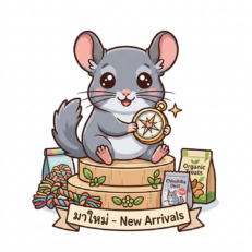 สินค้ามาใหม่ - New Arrivals
