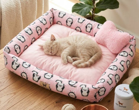 พบคำแนะนำในการเลือกกรงนกที่สมบูรณ์แบบ 8 TBD Pet Bed - โซฟาสี่เหลี่ยมเล็ก 40x35x8cm (771316)