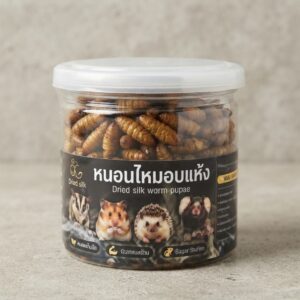 797103 Dried silk worm pupae - หนอนไหมอบแห้ง (797103)