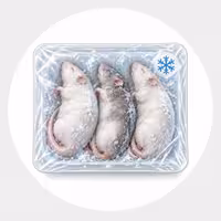 หนูแช่แข็ง ฯลฯ - Frozen Rats etc