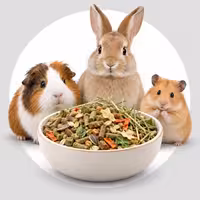 อาหารสำหรับสัตว์เลี้ยงขนาดเล็ก - Small Mammal Food