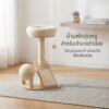 807045 Cat Tree Condo NanBarPet41 - คอนโดแมว (807045)