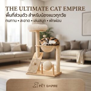 808220 Cat Tree Condo AR4639 - คอนโดแมว (60x40x96)(808220)