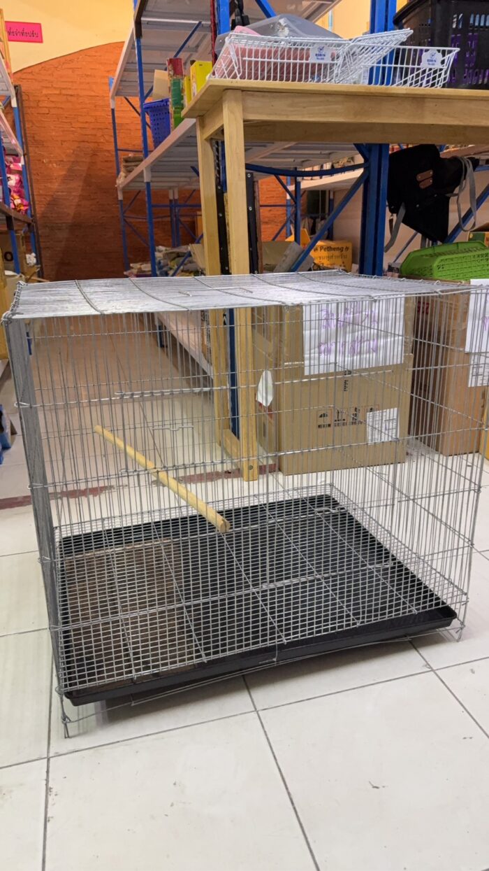 Bird Cage - กรงเพาะเล็ก (67x51x60cm) (807418)